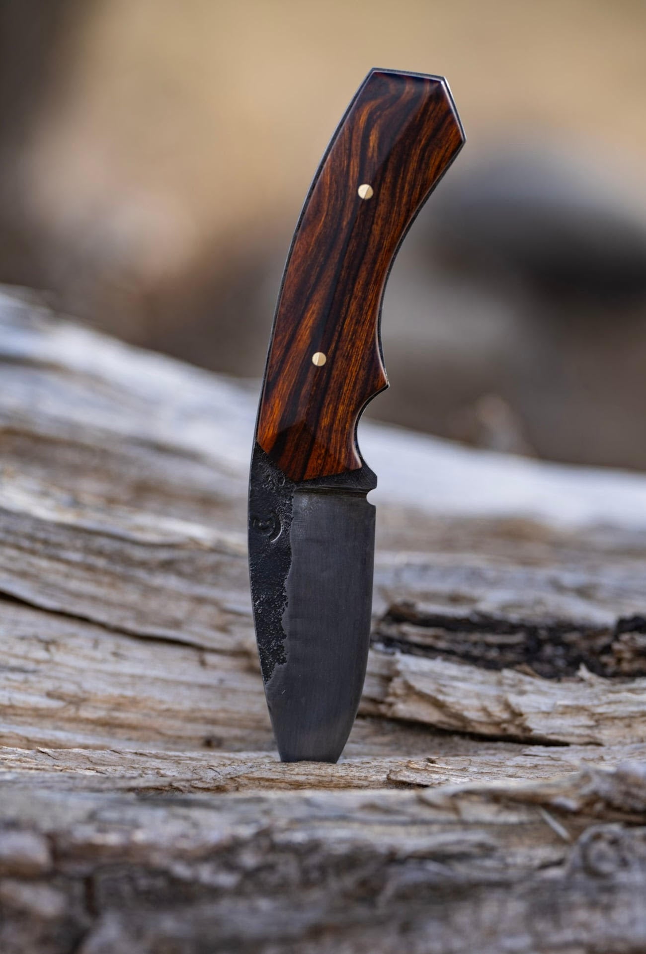 The Elkridge Skinner