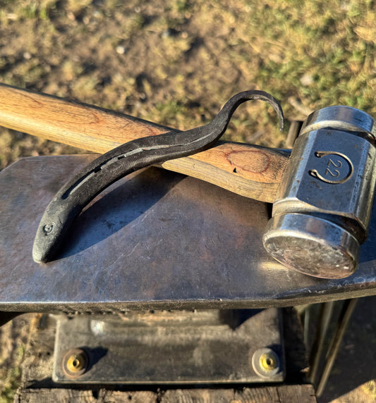 Horseshoe Hoof Pick